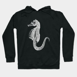 Seahorse Hoodie